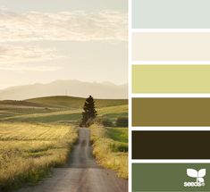 an image of a dirt road with grass and hills in the background color palette is earth tones