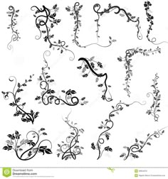 the letter e is made up of vines and leaves stock photo image 519784