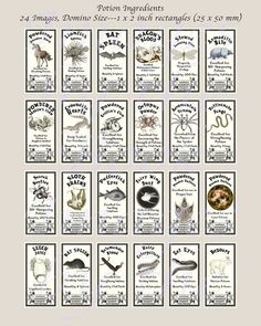 a poster with different types of animals on it