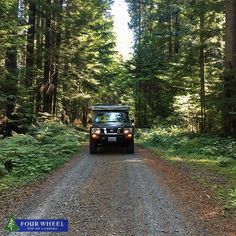 a jeep driving down a dirt road in the woods