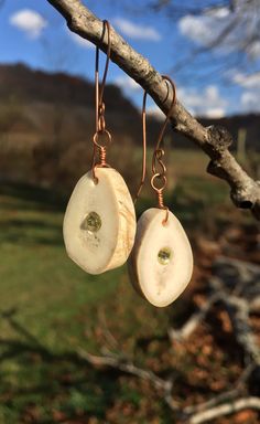 pair of earrings hanging from tree branch with grass in back ground and blue sky behind