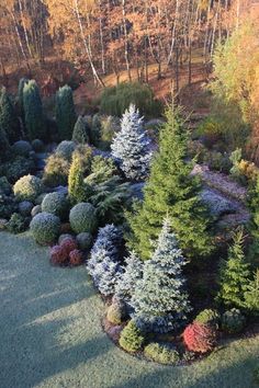 an aerial view of trees and shrubs in a garden