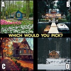 four different pictures with the words which would you pick? and where to find them