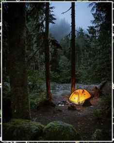 Discover 9 exciting camping hiking ideas for outdoor adventure enthusiasts with our curated list. From scenic trails to essential gear, this pin has everything you need to plan your next outdoor escapade. Whether you're a seasoned camper or a beginner hiker, these tips and tricks will help you make the most of your wilderness experience. Get inspired and start planning your next camping hiking trip today! Retro Camping, Camping Photography, Camping Aesthetic, Festival Camping, Campfire Food, Camping Checklist, Camping Survival