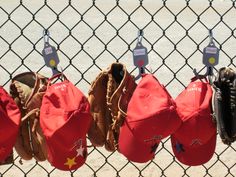 baseball caps and mitts hanging on a chain link fence