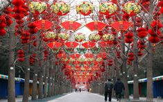 two people walking down a street lined with trees and red lanterns hanging from the ceiling