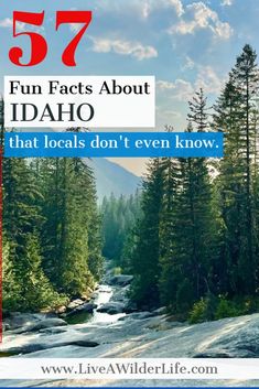 a river surrounded by trees with the words, fun fact about idaho that locals don't even know