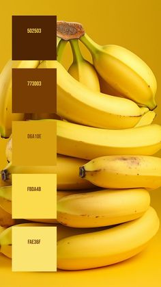 Colors:
502503
773D03
D6A10E
FBDA4B
FAE36F Monochromatic Yellow, Monochromatic Background, Glossy Skin, Banana Stand, Yellow Theme, Ripe Bananas, Green Colour Palette