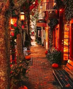 an alley way with pumpkins on the ground and lanterns hanging from the trees above