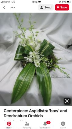 an image of a flower bouquet on the screen with captioning below that reads, centerpiece aspilista'bow and dendrorum orchids