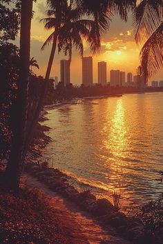 the sun is setting behind some palm trees on the water's edge with buildings in the background