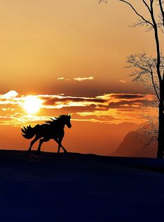 a horse running in the snow at sunset with trees and mountains in the background as the sun sets