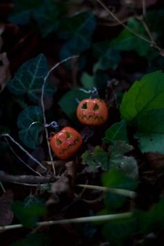 two orange pumpkins with faces carved into them sitting in the leaves on the ground