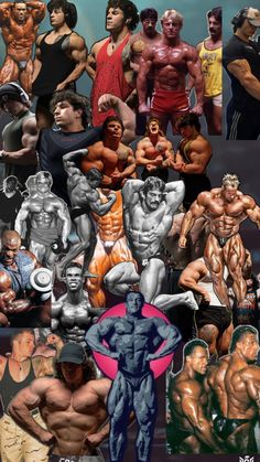 an image of many different bodybuilding men