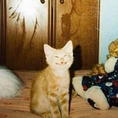 an orange cat sitting on top of a bed next to a stuffed animal and teddy bear