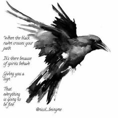 a black and white drawing of a bird with the words, when the black raven crosses your path