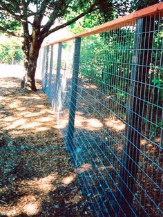 the fence is made of metal wire and has a wooden post at the top that matches the tree