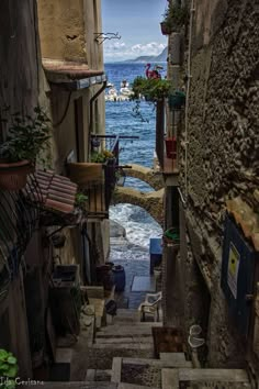 an alley way leading to the ocean with plants growing out of it's windows