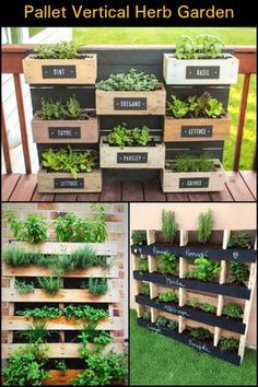 pallet vertical herb garden is an easy way to grow herbs in containers and use them as planters