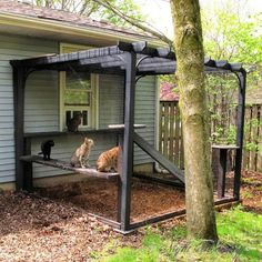 two cats sitting on the back porch of a house next to a tree and fence