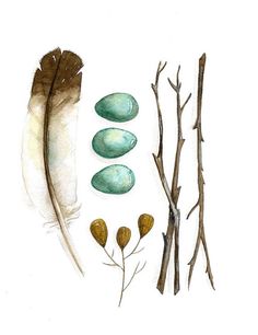 an illustration of some plants and feathers on a white background with watercolors in the foreground