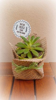 a plant in a burlap bag on a wooden table