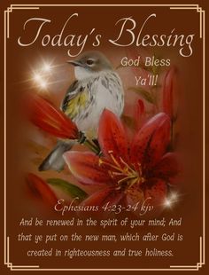 a card with a bird and flowers on it that reads today's blessing, god b