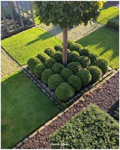 an aerial view of a garden with green grass and small trees in the center, surrounded by stone edgings