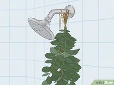 a shower head with plants growing on it