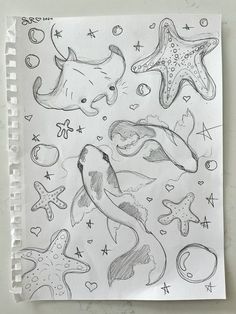 a drawing of sea animals and starfishs on paper