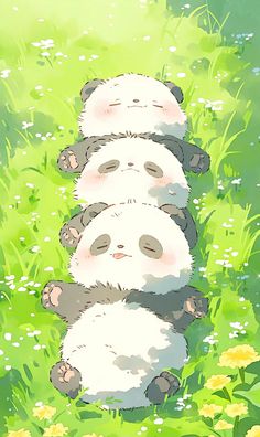 three panda bears are laying down in the grass