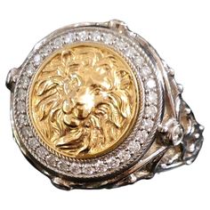 Experience the allure of majestic strength and timeless style with our "Lion Men Ring." Expertly crafted from 25 grams of superior 14K gold, this exceptional piece embodies a sense of regality and power that transcends the ordinary. The spotlight of this exquisite design is the 3D lion motif in rich yellow gold that stands prominently at the center. A symbol of courage and leadership, the lion evokes a potent masculine energy that is impossible to ignore. The fine detailing of this royal beast i Men Signet Ring, 3d Lion, Ring Luxury, Lion Ring, Masculine Energy, White Gold Set, Ring Men, Big Rings, Men Ring