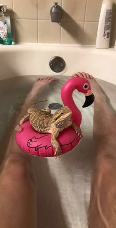 a lizard sitting on top of a pink flamingo in a bathtub with someone's feet