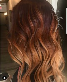 Fall Winter Hair Color, Hair Contouring, Silky Smooth Hair, Blonde Roots, Hair Idea, Wild Hair, Hair Brained, Winter Hair Color