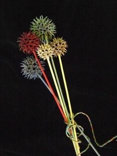 three different colored flowers tied together in a line on a black background with the stems still attached