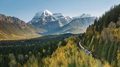 a train traveling through a lush green forest filled with trees and snow covered mountains in the background