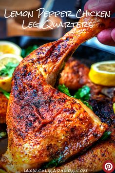 a person holding a piece of chicken on top of a pan with lemons and parsley