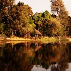 an image of a lake with trees in the background