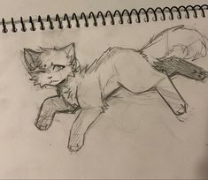 a drawing of a cat laying on its back