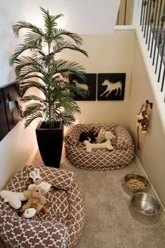 two dogs are sleeping in their beds on the floor next to a potted plant