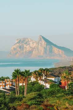 palm trees are in front of the mountains and water with houses on it, near some buildings