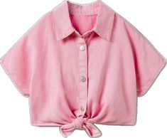 Cute Pink Collared Top, Pink Collared Zara Top, Zara Pink Collared Tops, Cute Zara Cotton Shirt, Pink Cotton Zara Shirt, Zara Pink Cotton Shirt, Cute Summer Shirt By Zara, Zara Embroidered Shirt, Kids Blouse