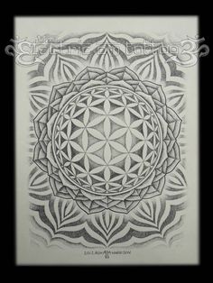 a drawing of a flower of life in black and white