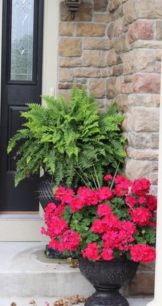 a potted plant with pink flowers sitting on the front steps next to a door