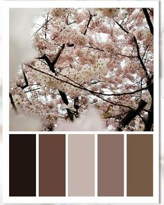 the color palette is brown and white, with pink flowers on it's branches