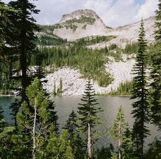 the mountains are covered in snow and pine trees near a body of water that is surrounded by evergreens