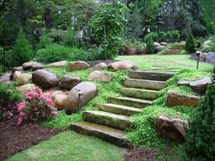 a garden with rocks and grass on the ground