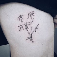 a black and white photo of a bamboo plant on the back of a woman's thigh