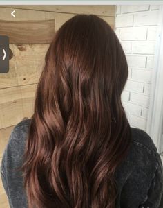 Chocolate Brown Hair Auburn Highlights, Red Hazelnut Hair Color, Bright Chocolate Brown Hair, Dark Auburn Brunette Hair, Mahogany Hair Balayage, Dark Hazelnut Hair Color Brown, Chesnutt Hair Color, Chestnut Brown Hair Colors, Frosted Chestnut Hair Color