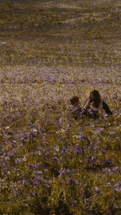 two people sitting in the middle of a field full of purple wildflowers and grass